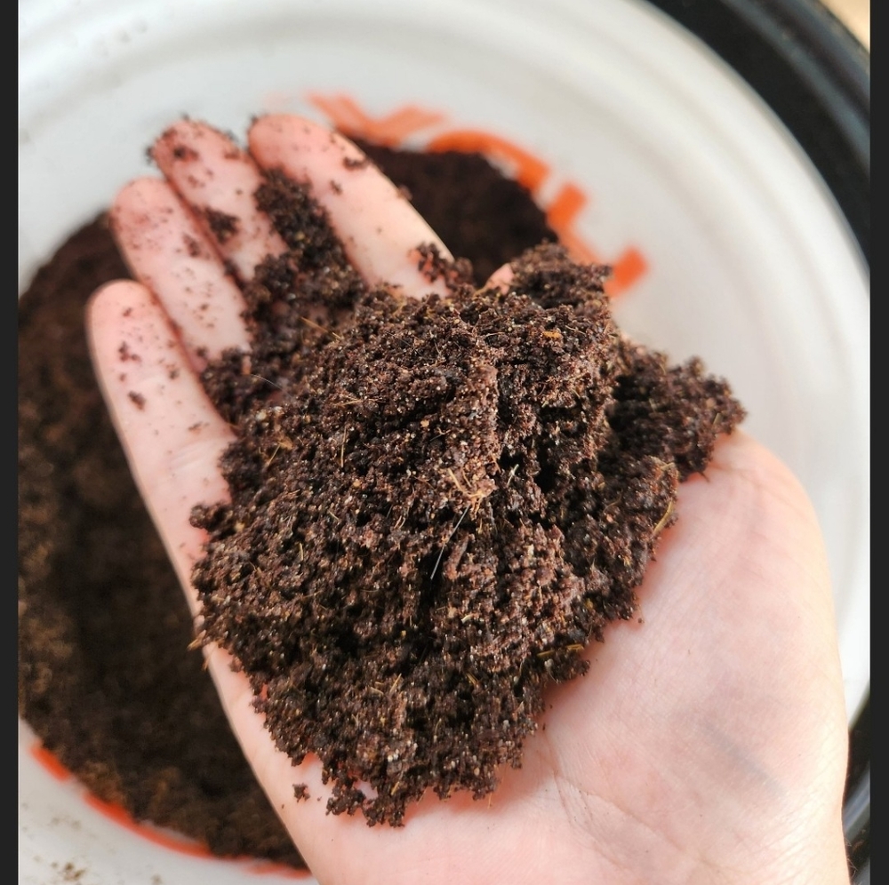 Worm Casting Tea
